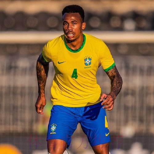 2026世界杯巴西凯恩阵容解析最新更新